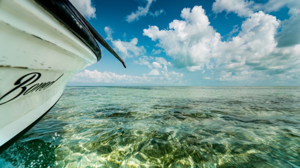 best time to fish belize water 