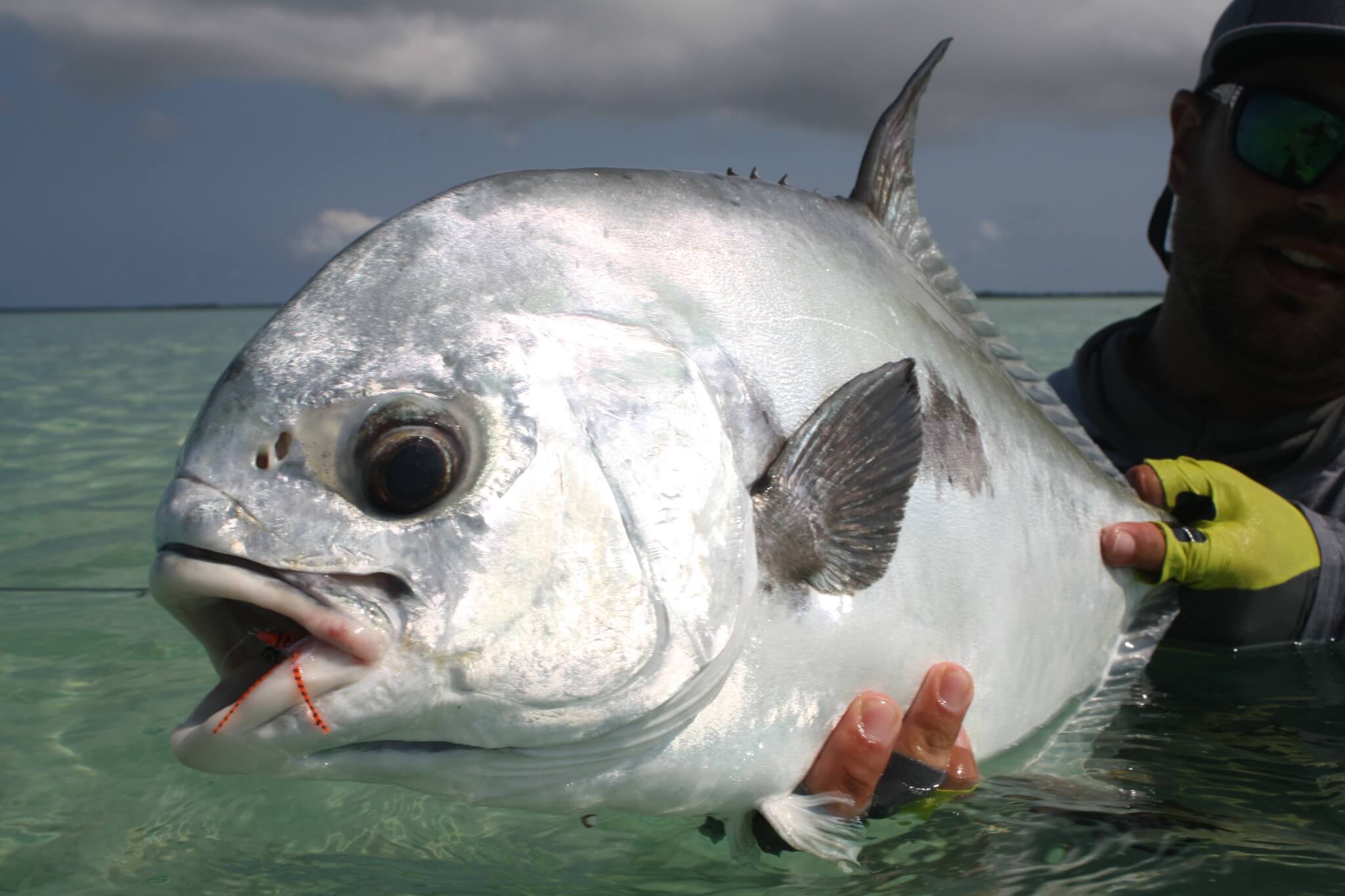 Belize Permit