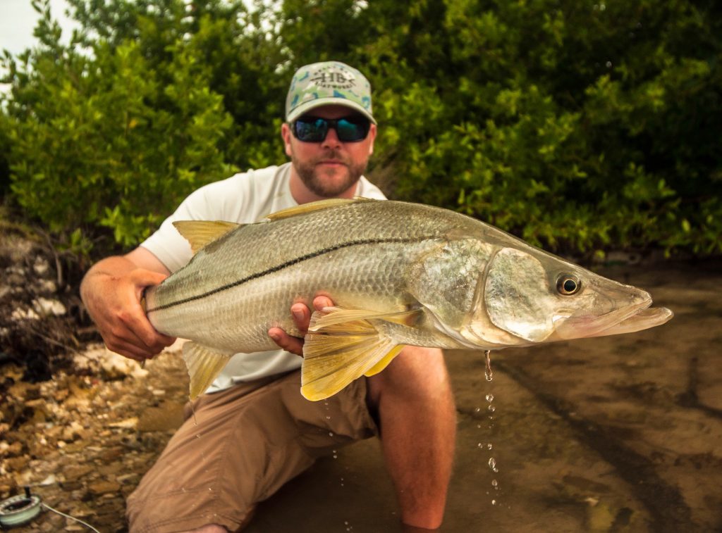 holding up a snook