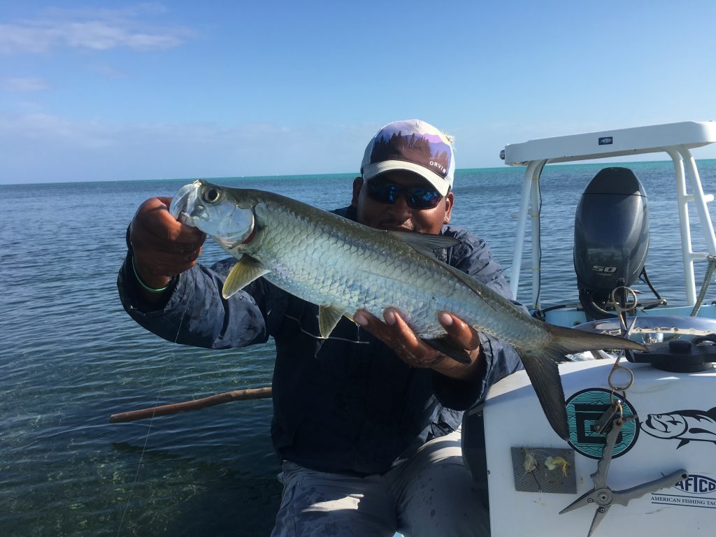 smaller tarpon mvoing back in 