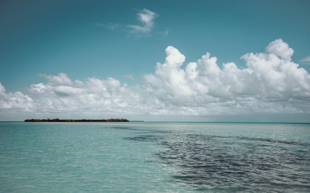 Permit fishing in Belize on the salt flats